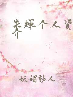 朱辉个人资料简介