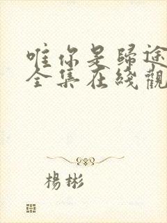 唯你是归途短剧全集在线观看