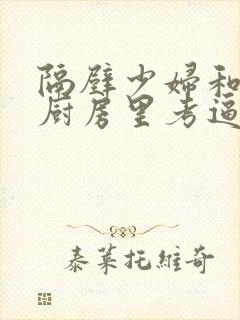 隔壁少妇和我在厨房里考逼视频