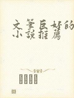 文笔巨好的冷门小说推荐