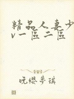 精品人妻少妇av一区二区