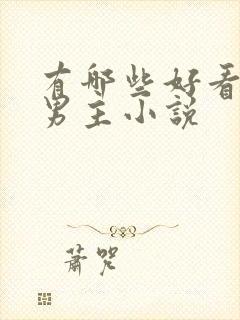 有哪些好看的双男主小说