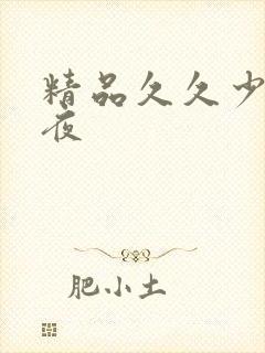 精品久久少妇午夜