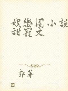 娱乐圈小说推荐甜宠文