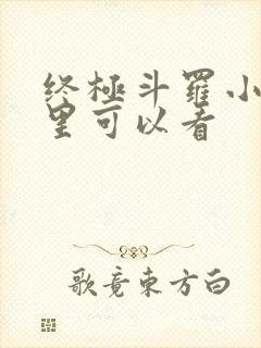 终极斗罗小说哪里可以看