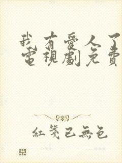 我有爱人了韩剧电视剧免费观看全集国语版