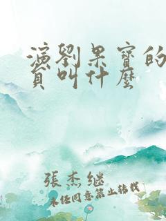 演刘果宝的小演员叫什么