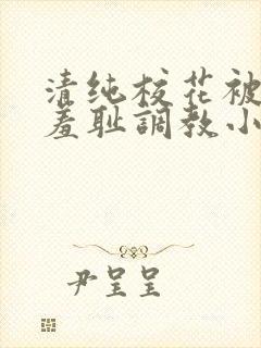 清纯校花被民工羞耻调教小说