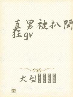 直男被扒开双腿狂gv