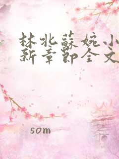 林北苏婉小说最新章节全文