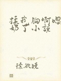 揉我胸啊嗯～出奶了小说