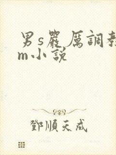 男s严厉调教女m小说