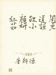 红颜政道周平丁茹妍小说免费阅读