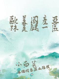 欧美国产亚洲丝袜美腿一区