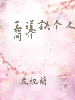 王道铁个人资料简介