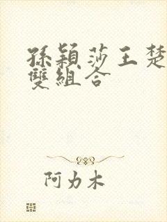 孙颖莎王楚钦混双组合