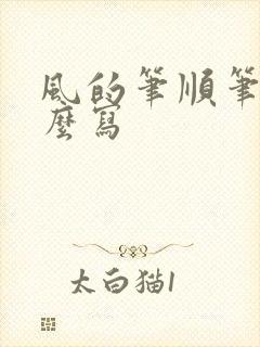 风的笔顺笔画怎么写