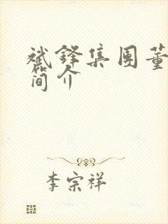 斌锋集团董事长简介