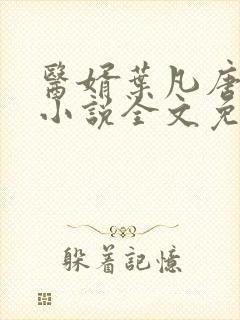 医婿叶凡唐若雪小说全文免费阅读