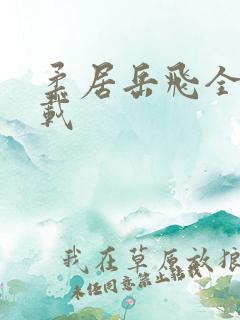 柔居岳飞全传下载