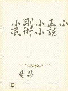 小刚小正小柔催眠术小说