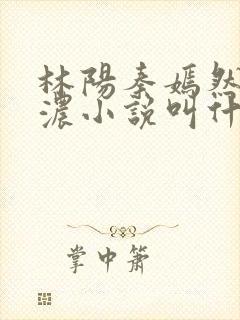 林阳秦嫣然秦墨浓小说叫什么