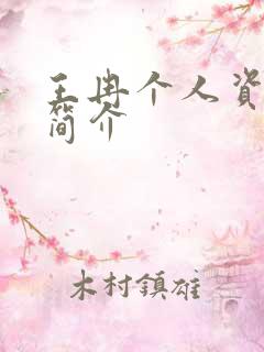 王冉个人资料及简介