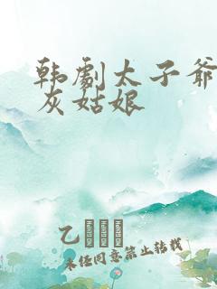 韩剧太子爷爱上灰姑娘