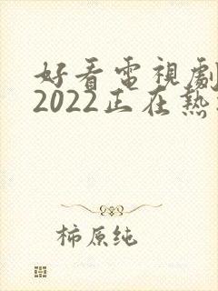 好看电视剧推荐2022正在热播的剧