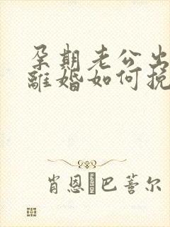 孕期老公出轨要离婚如何挽回