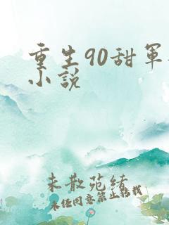 重生90甜军嫂小说