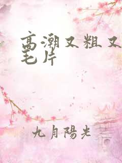 高潮又粗又爽的毛片