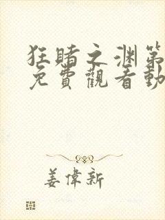 狂赌之渊第一季免费观看动漫高清