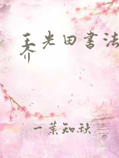 王光田书法家简介