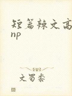 短篇辣文高h np