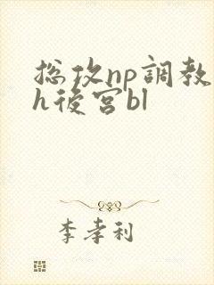 总攻np调教高h后宫bl