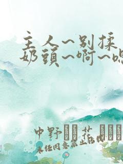 主人~别揉了~奶头~啊~嗯小说h