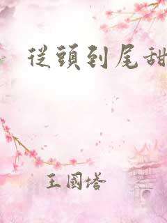 从头到尾甜宠剧