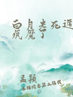 白月光死遁后他疯魔了