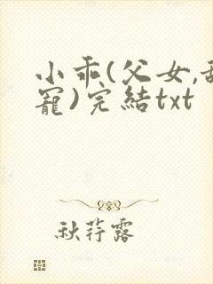 小乖(父女,甜宠)完结txt