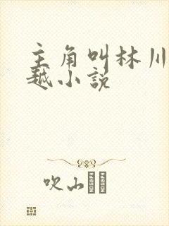 主角叫林川的穿越小说