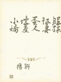 小坏蛋征服尤物娇羞人妻揉捏双峰