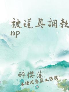 被道具调教玩弄np
