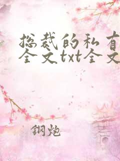 总裁的私有甜妻全文txt全文下载