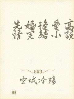 先婚后爱高干言情完结小说
