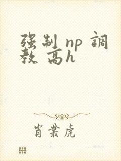 强制 np 调教 高h