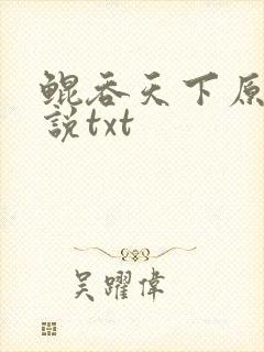 鲲吞天下原著小说txt