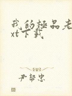 我的极品老婆txt下载