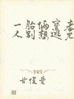 一胎俩宝老婆大人别想逃免费阅读