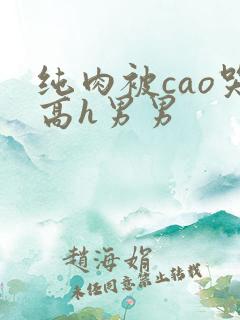 纯肉被cao哭高h男男